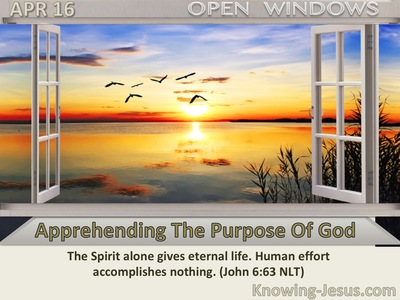 Apprehending The Purpose Of God